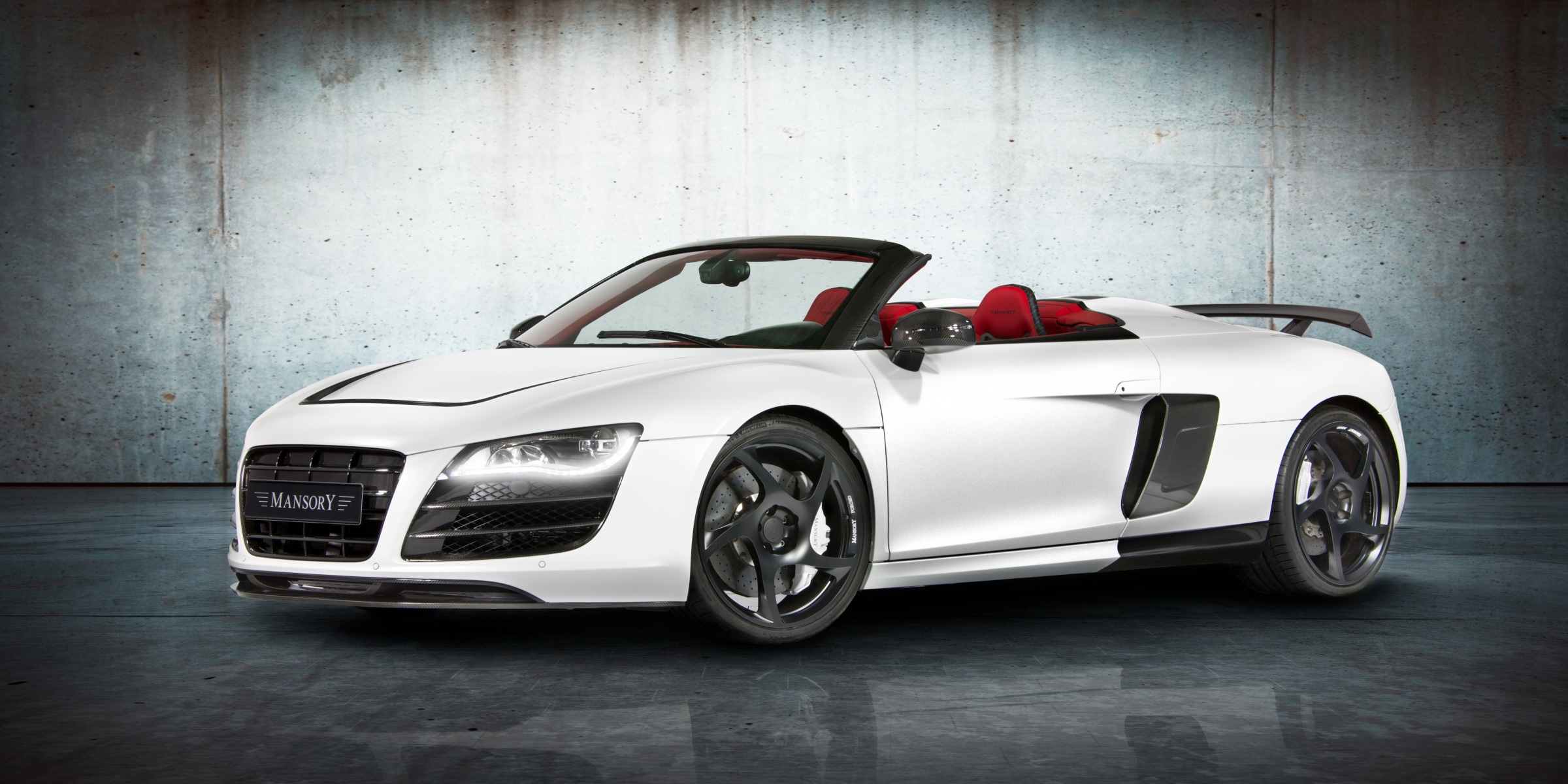 mansory_audi_r8_03.jpg