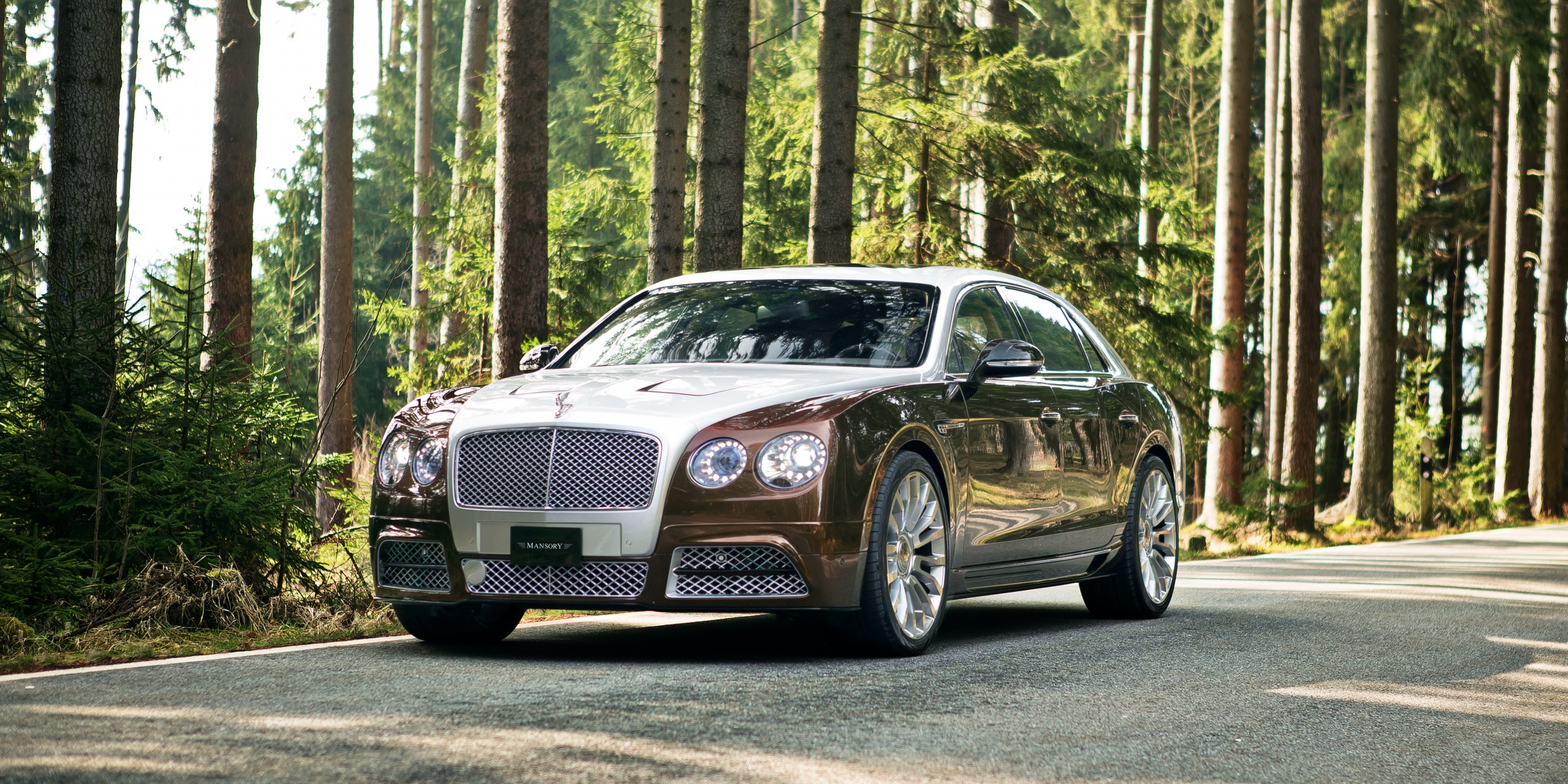 mansory_bentley_flying_spur_2014_16.jpg