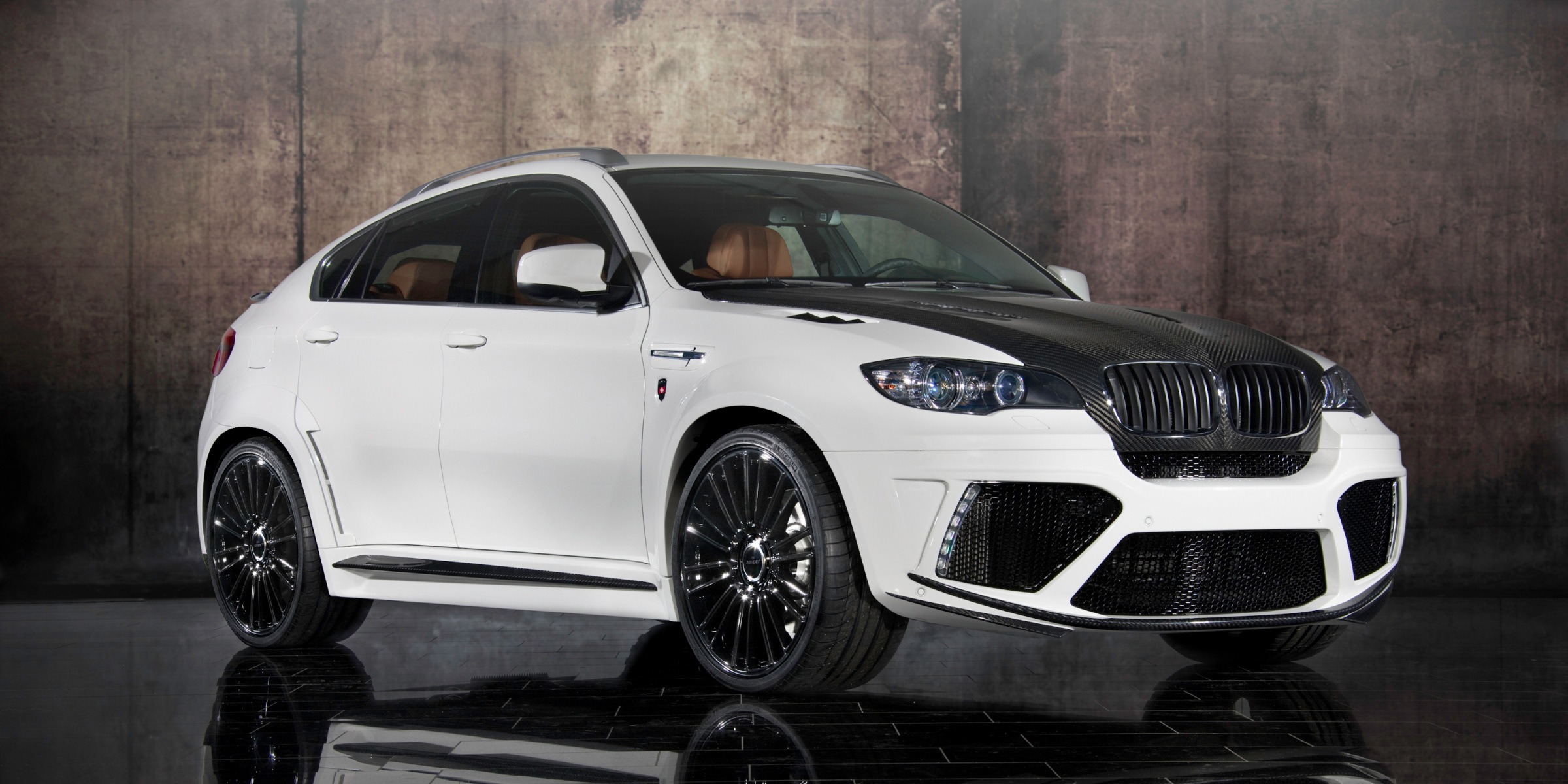 mansory_bmw_x6_07.jpg