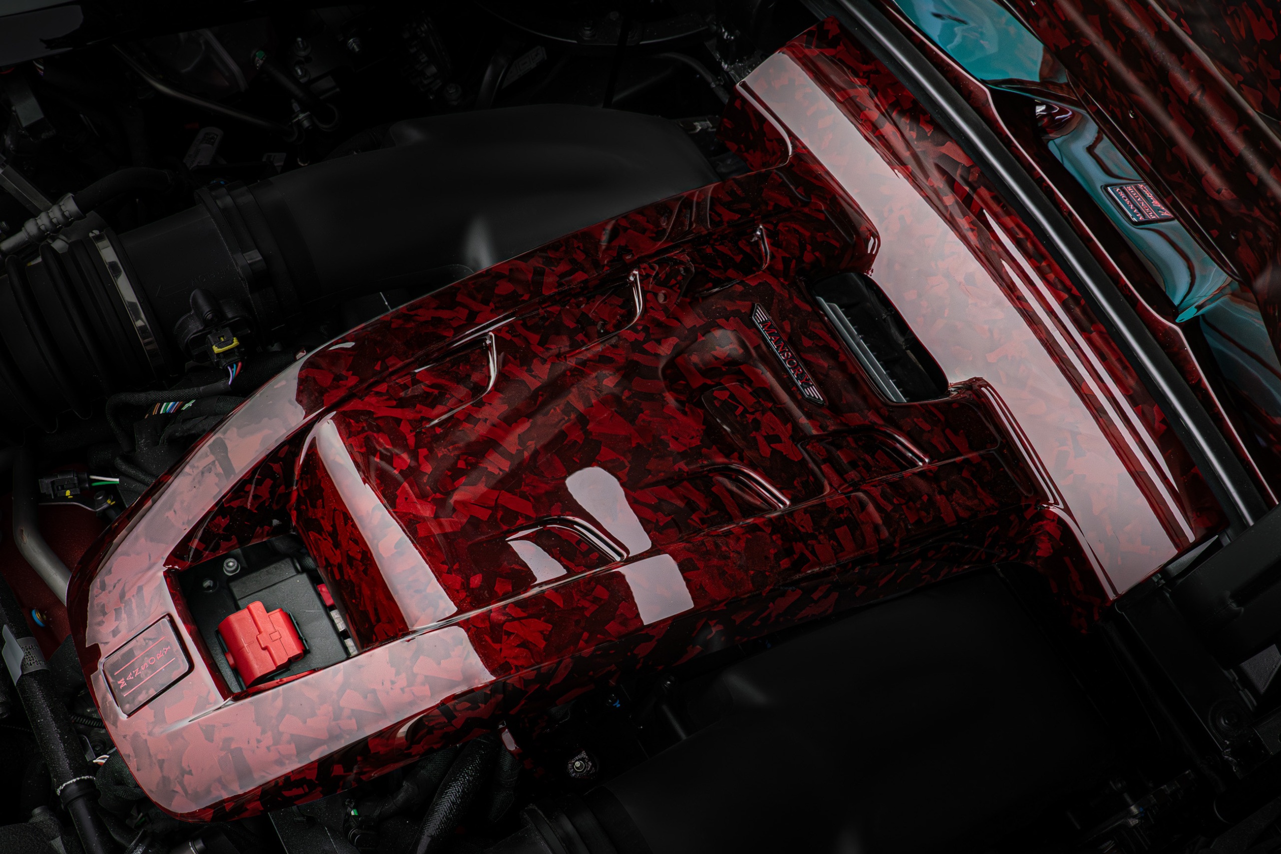 mansory_pugnator_12.jpg
