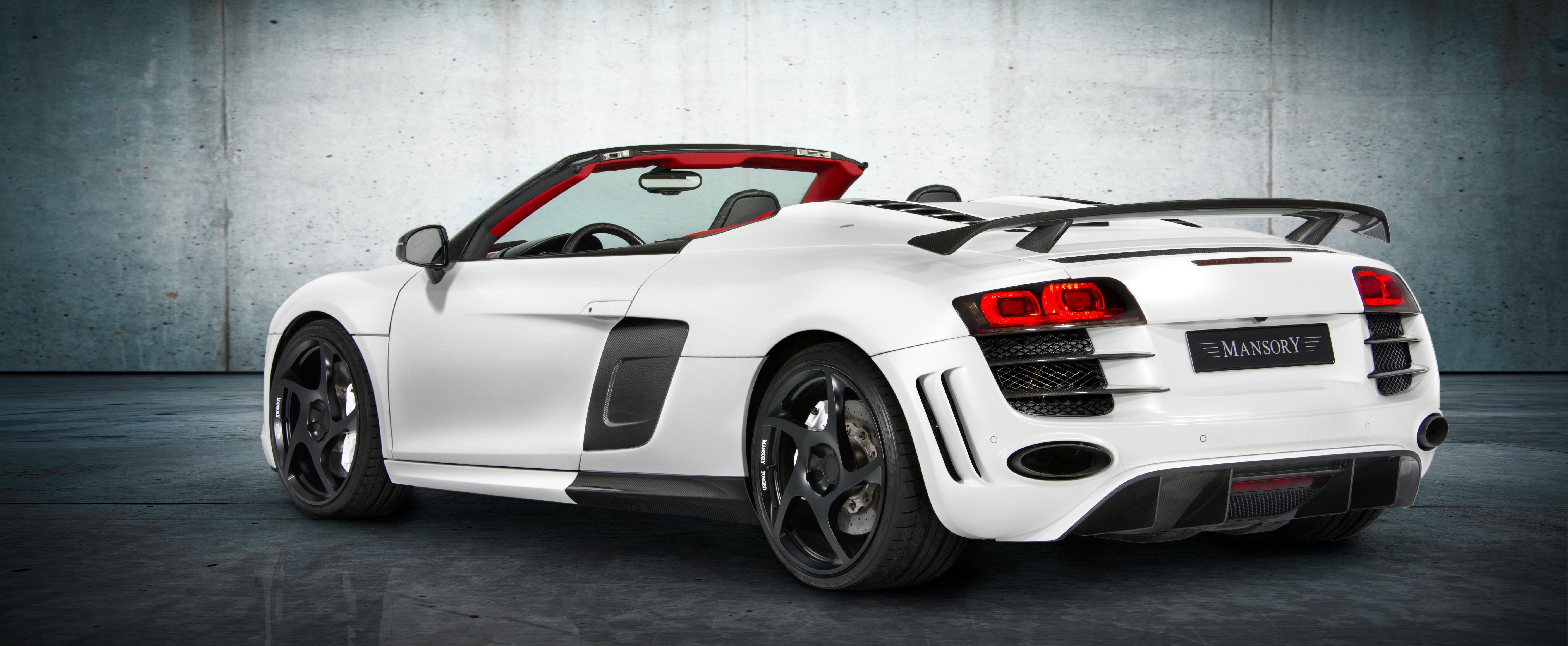 mansory_audi_r8_07.jpg