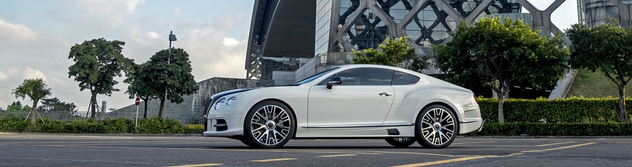mansory_bentley_continental_gt_sanguis_71.jpg