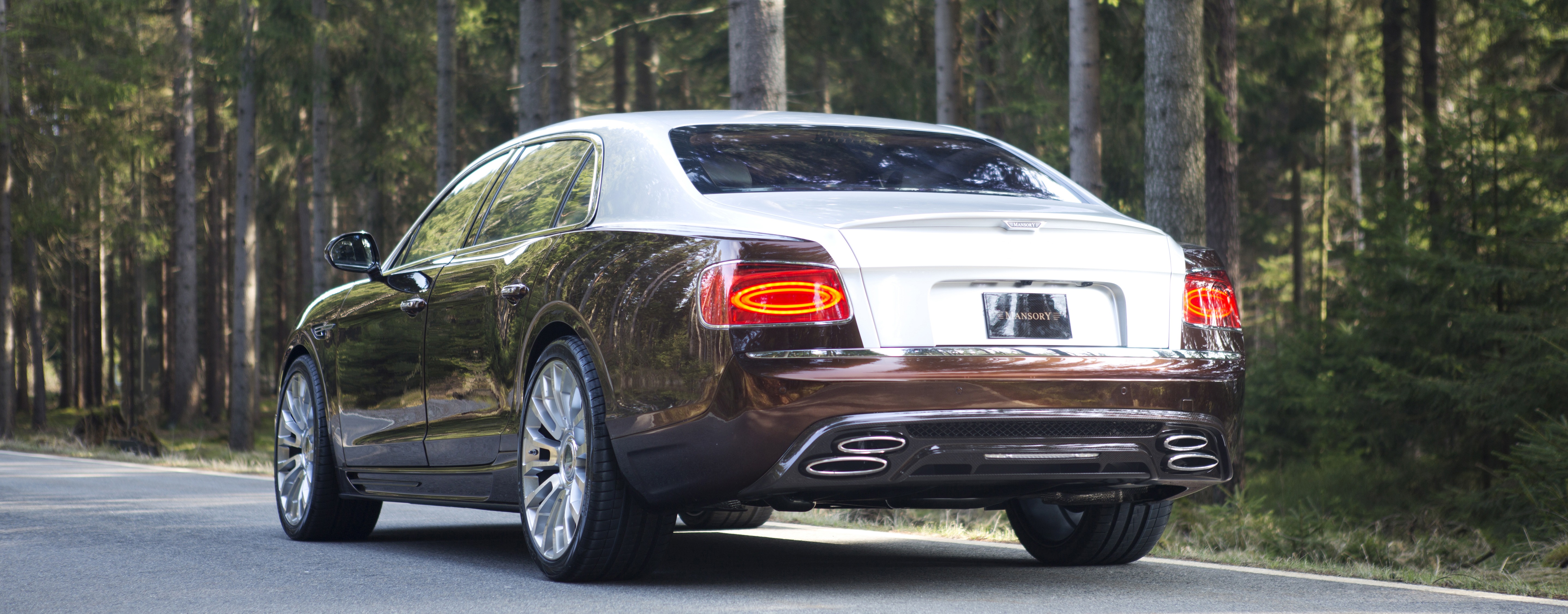 mansory_bentley_flying_spur_2014_21.jpg