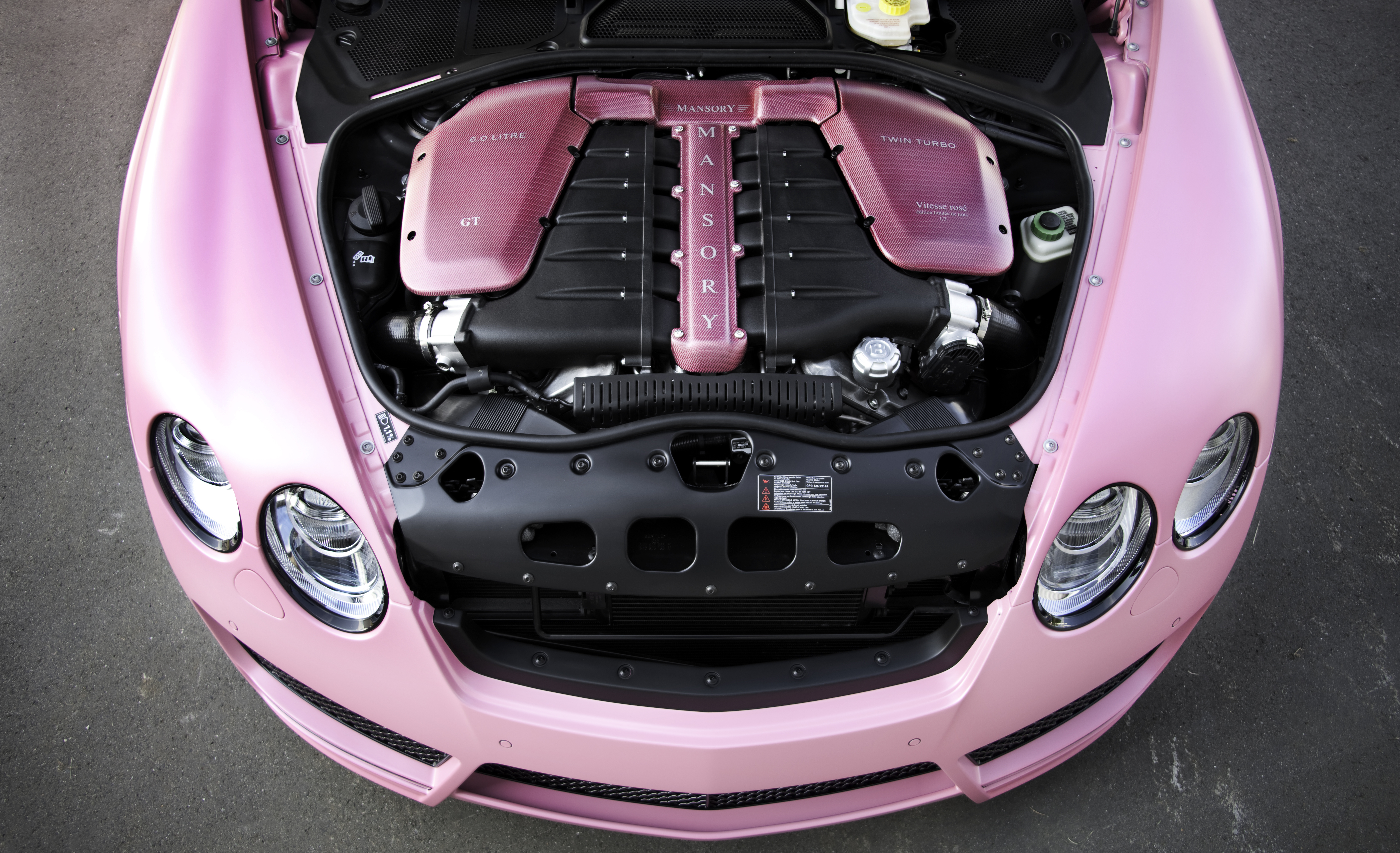 mansory_bentley_continental_gt_vitesse_rose_11.jpg