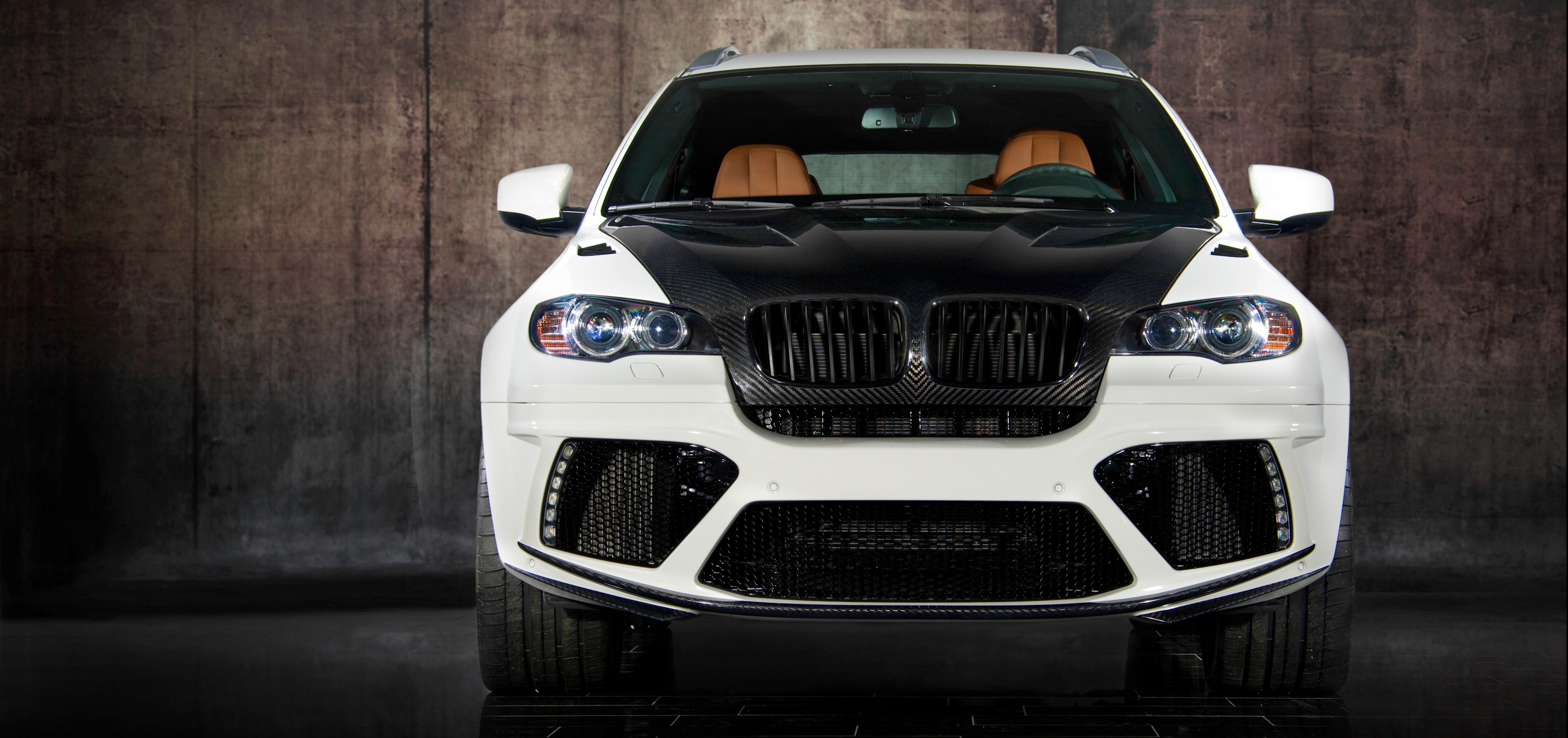 mansory_bmw_x6_03.jpg