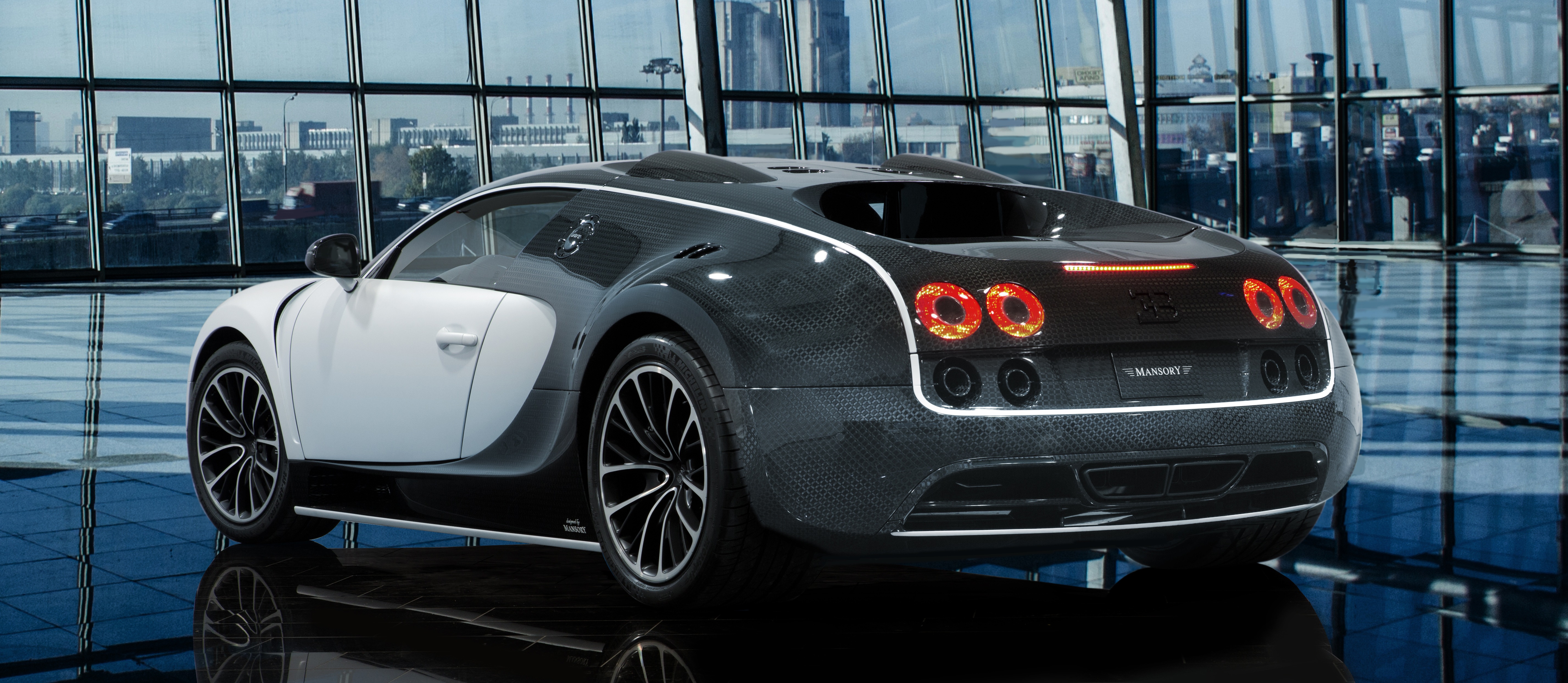 mansory_bugatti_veyron_vivere_09.jpg