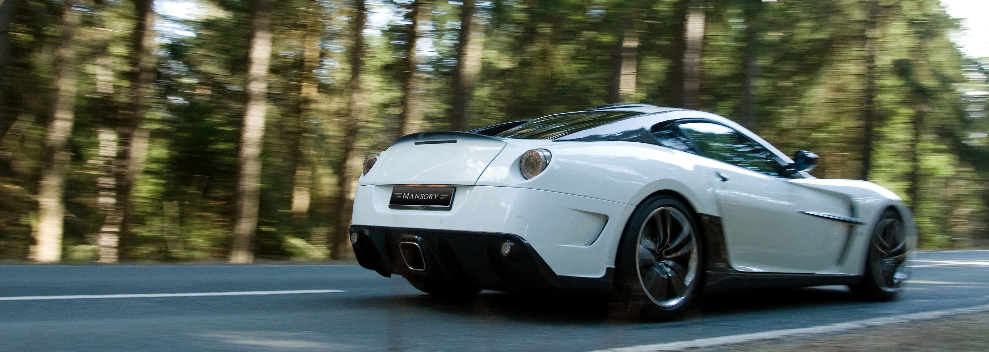 mansory_ferrari_599_stallone_23.jpg