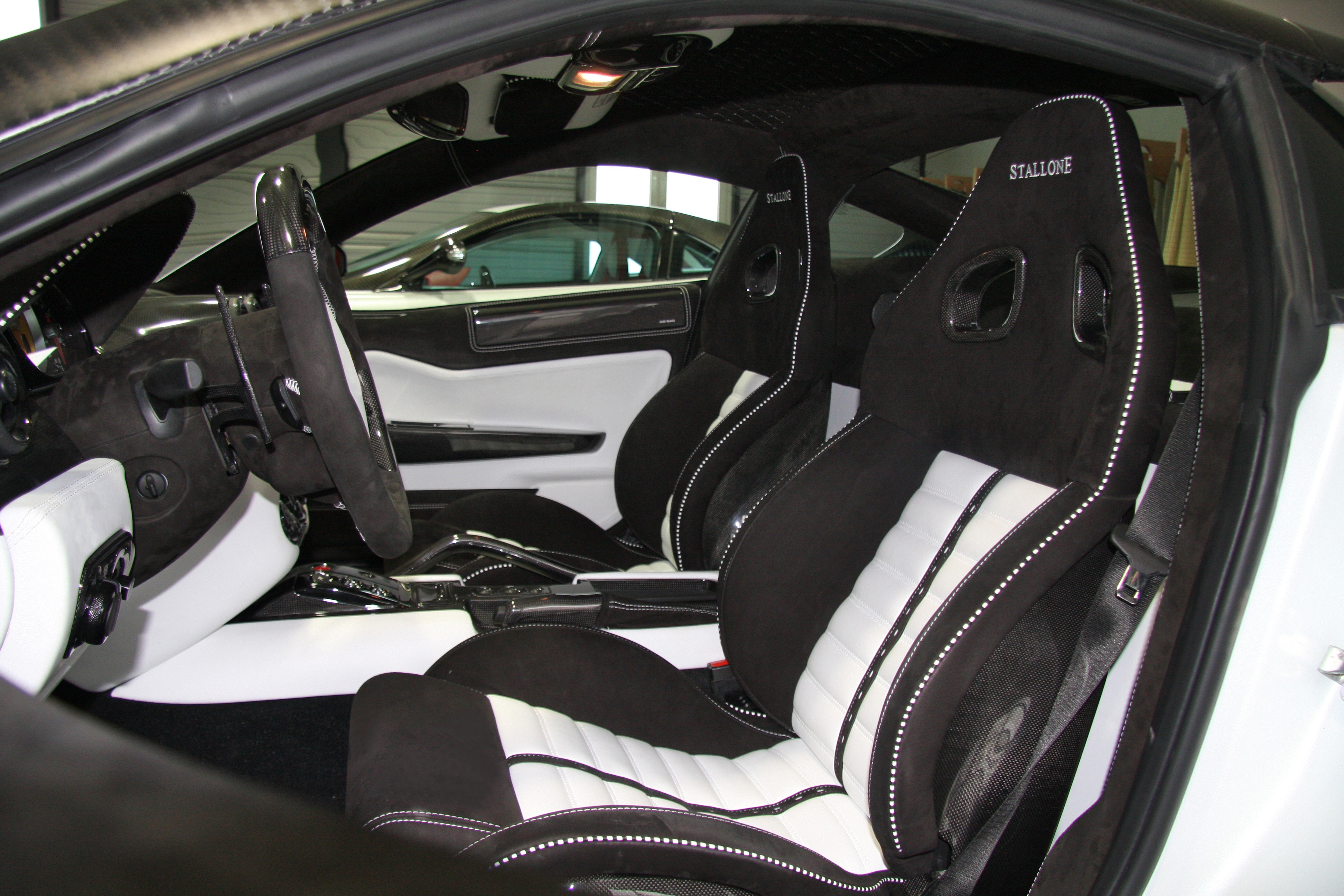 mansory_ferrari_599_stallone_79.jpg