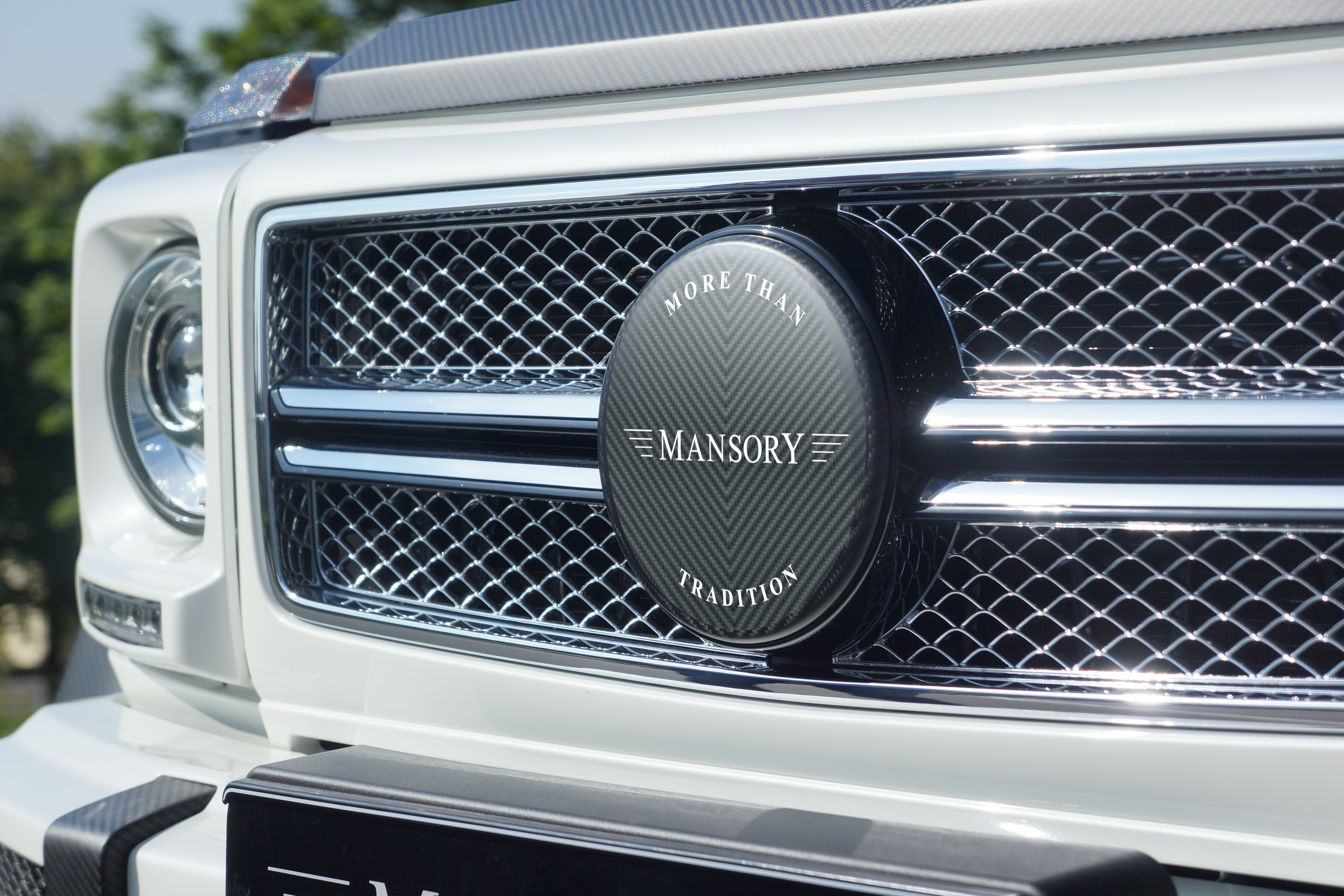 mansory_mercedes-benz_g-class_6x6_13.jpg