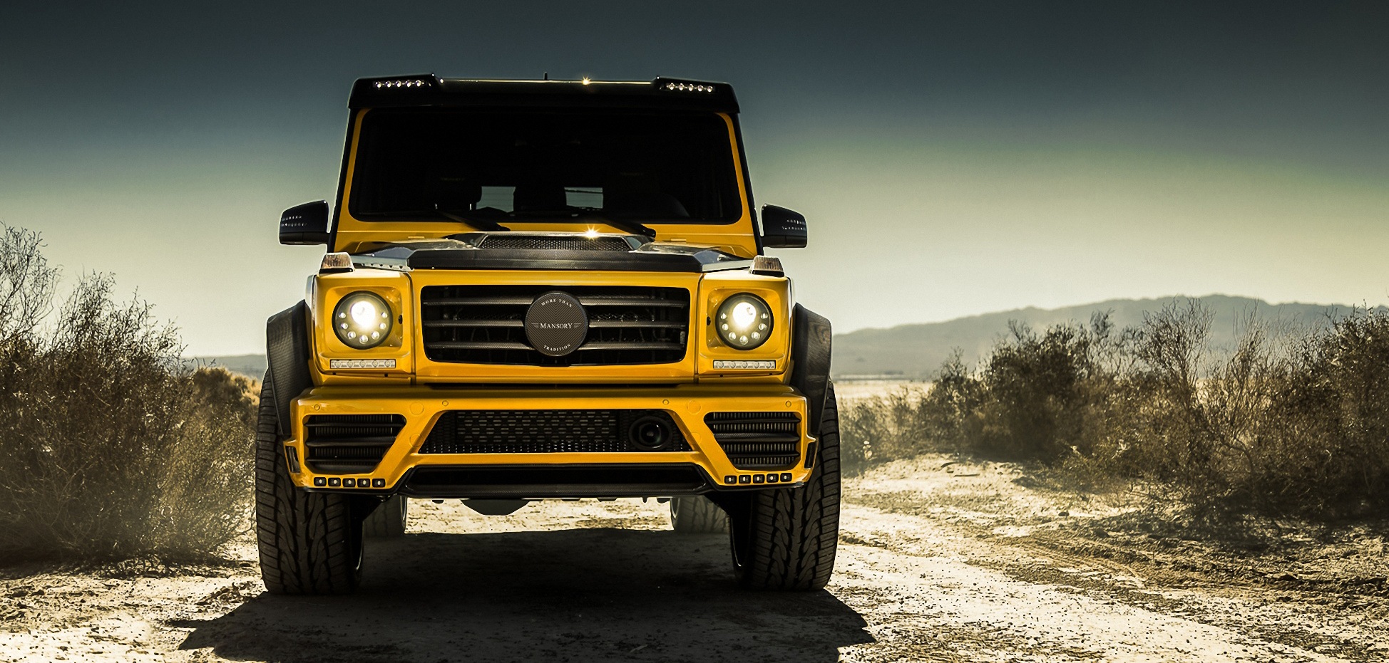 mansory_mercedes-benz_g-class_wide_58.jpg