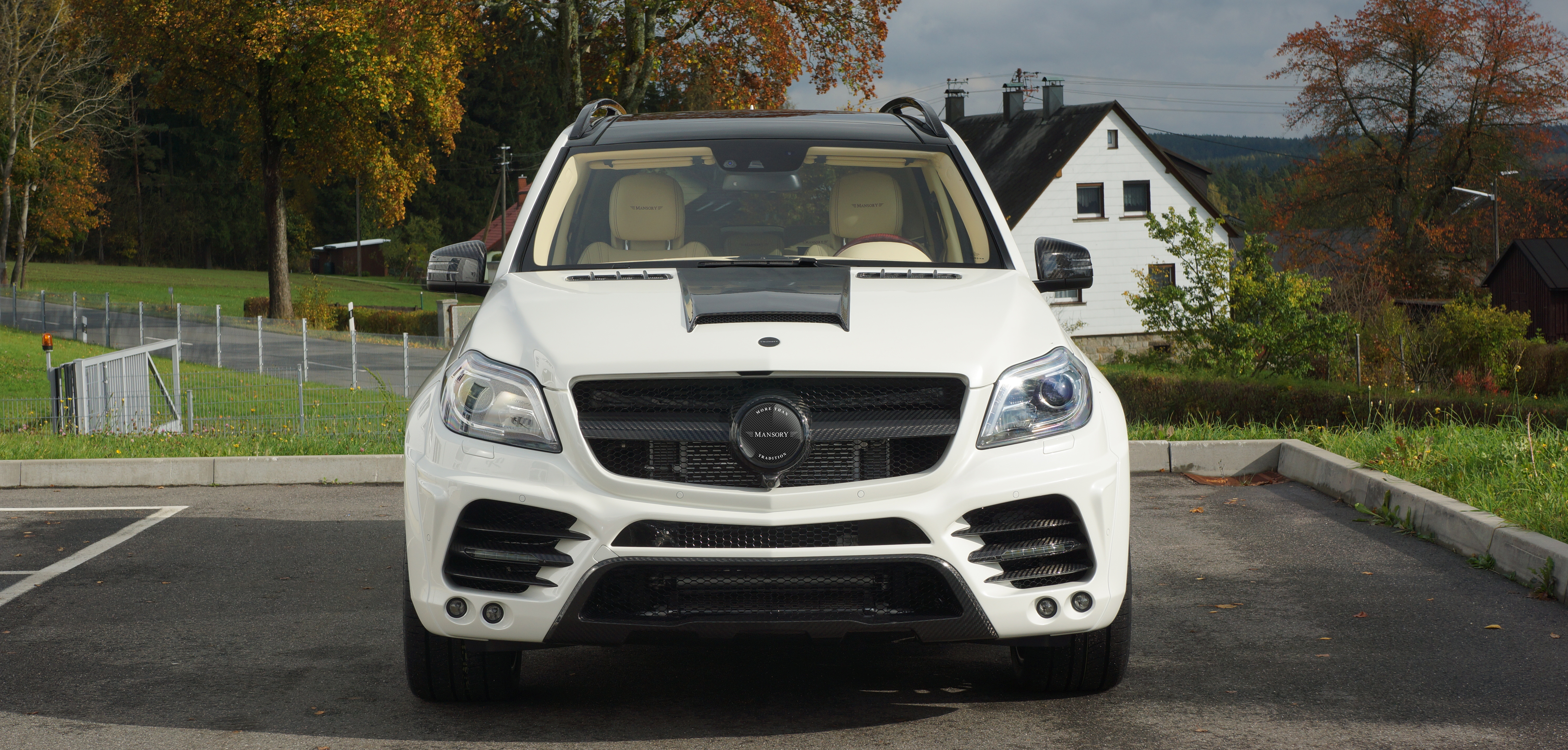 mansory_mercedes-benz_gl_14.jpg
