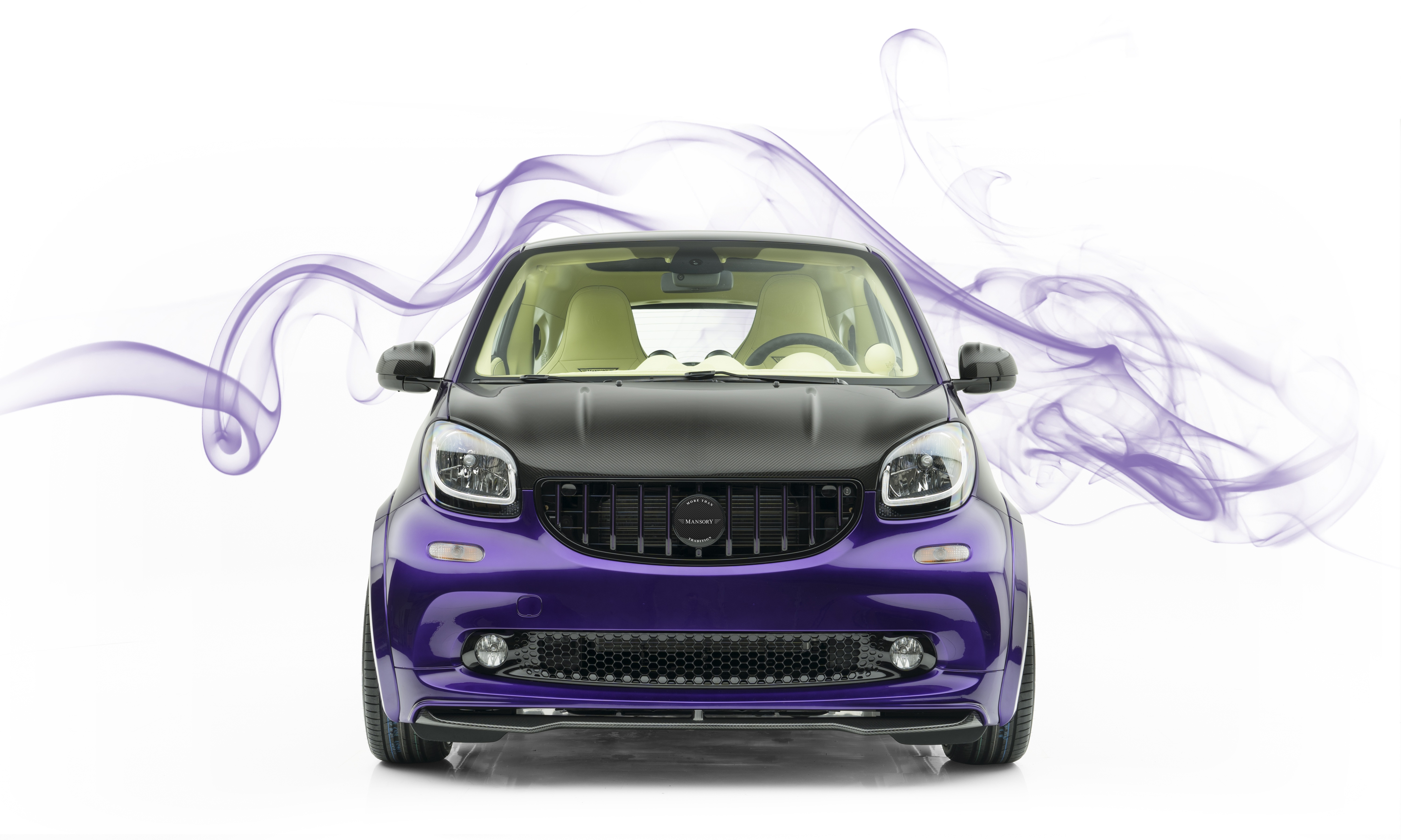 mansory_smart_03.jpg