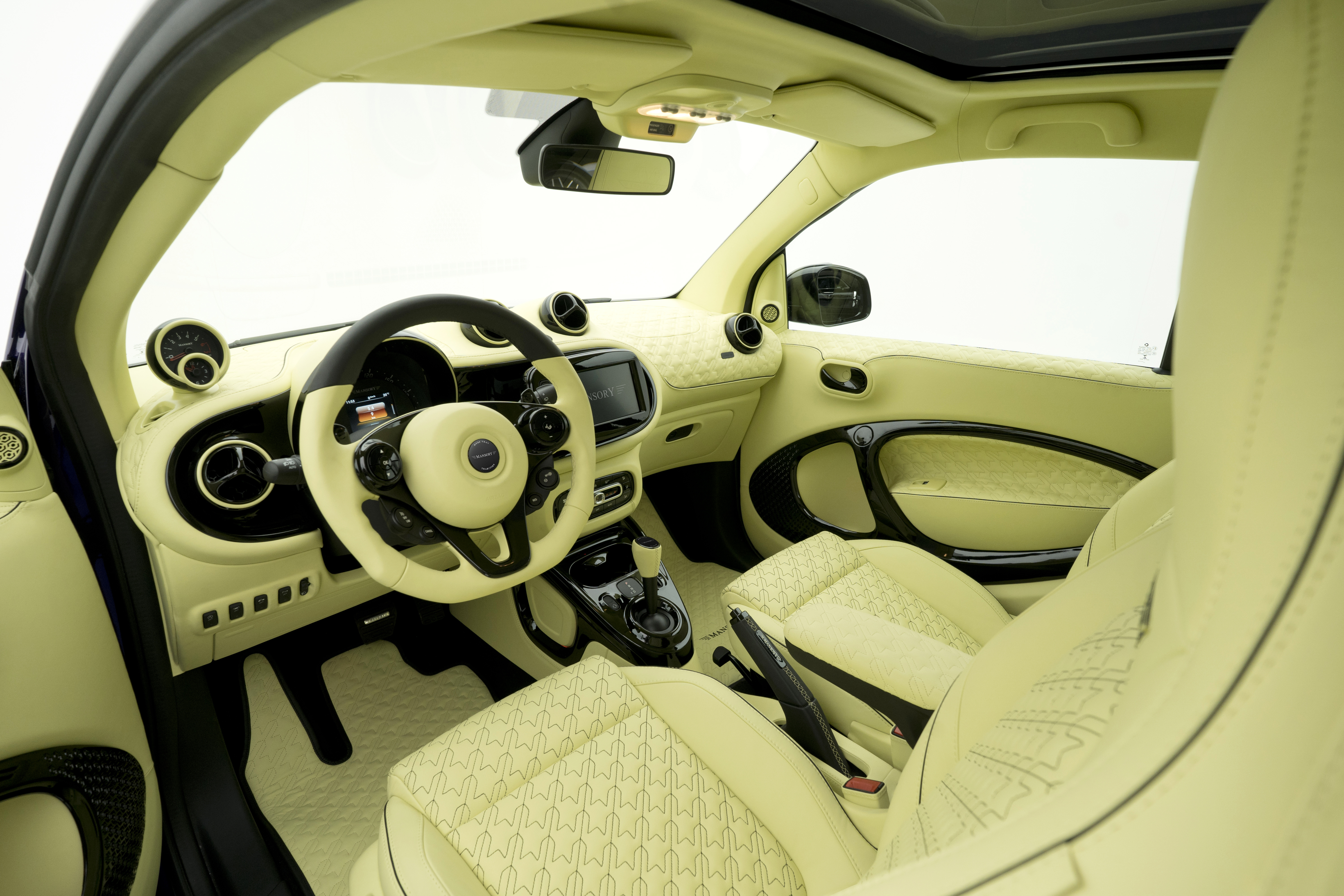 mansory_smart_10.jpg