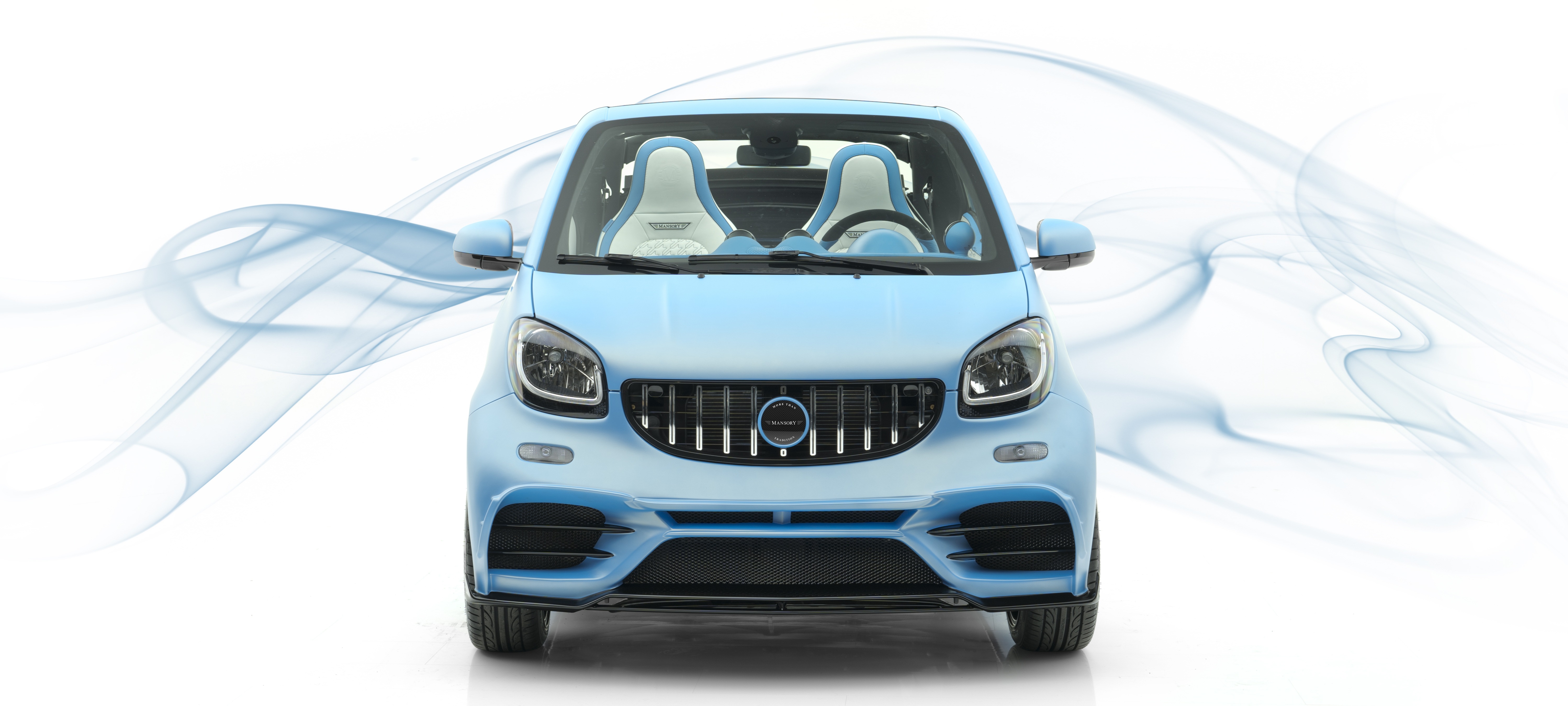 mansory_smart_14.jpg